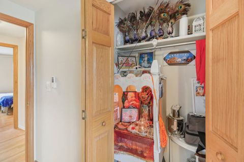 Tiny photo for 712 Dante Court, Schaumburg, IL 60193 (MLS # 12488301)