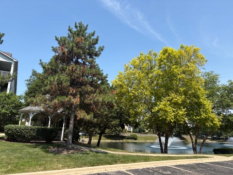 Tiny photo for 1291 W Lake Street #302, Addison, IL 60101 (MLS # 12702745)