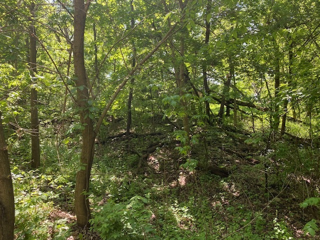 Lots 11 & 12 Ravine Drive