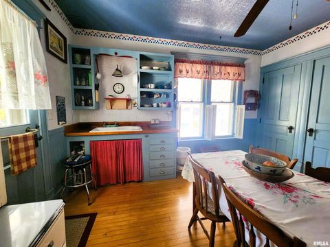 Tiny photo for 122 W SOUTH Street, Geneseo, IL 61254 (MLS # QC4269419)