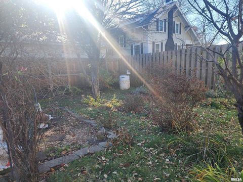 Tiny photo for 122 W SOUTH Street, Geneseo, IL 61254 (MLS # QC4269419)
