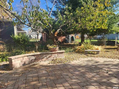 Tiny photo for 122 W SOUTH Street, Geneseo, IL 61254 (MLS # QC4269419)