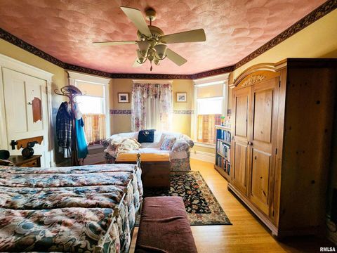 Tiny photo for 122 W SOUTH Street, Geneseo, IL 61254 (MLS # QC4269419)