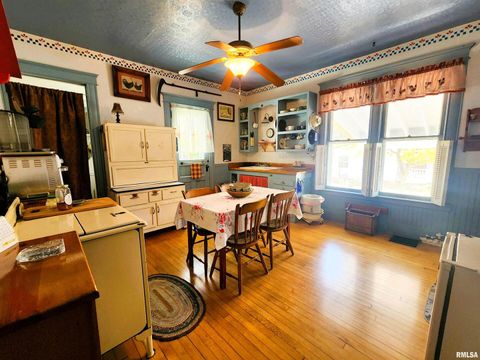 Tiny photo for 122 W SOUTH Street, Geneseo, IL 61254 (MLS # QC4269419)