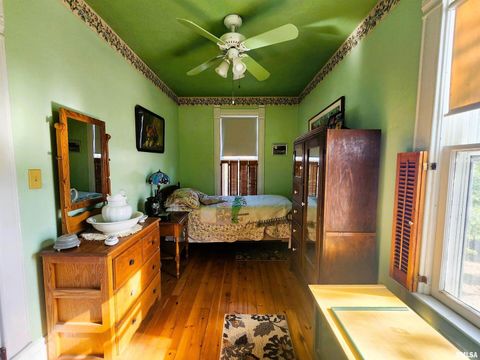 Tiny photo for 122 W SOUTH Street, Geneseo, IL 61254 (MLS # QC4269419)