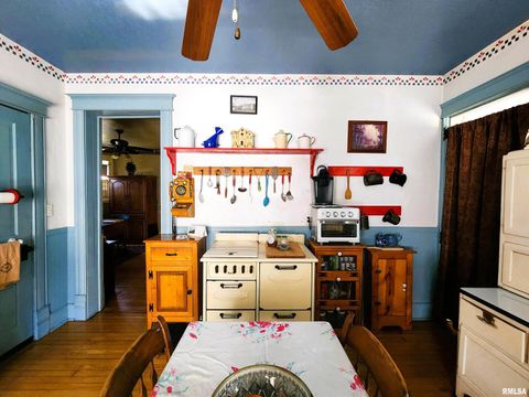 Tiny photo for 122 W SOUTH Street, Geneseo, IL 61254 (MLS # QC4269419)