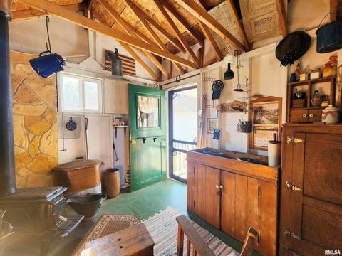 Tiny photo for 122 W SOUTH Street, Geneseo, IL 61254 (MLS # QC4269419)