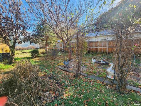 Tiny photo for 122 W SOUTH Street, Geneseo, IL 61254 (MLS # QC4269419)