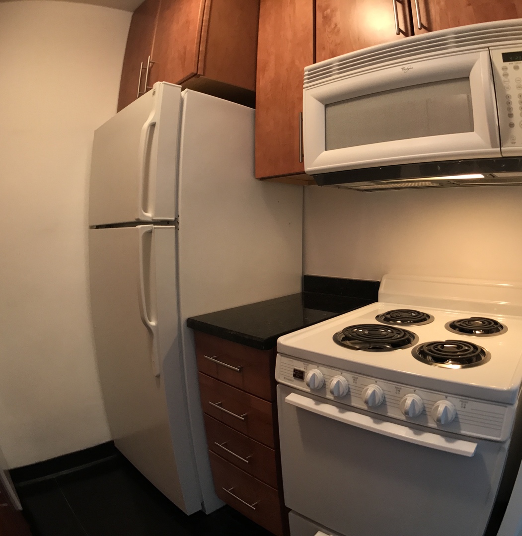 Chicago, Illinois 60611, United States, ,1 BathroomBathrooms,Residential,Active,132004