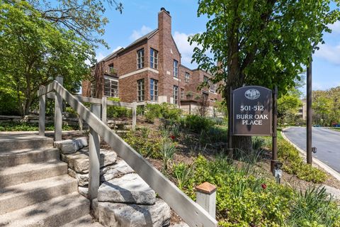 509 Burr Oak Place Hinsdale IL 60521