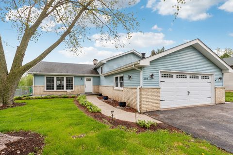 204 Oakleaf Road Lake In The Hills IL 60156