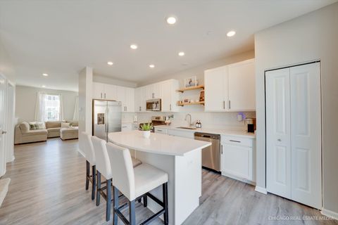 Tiny photo for 8988 Dolby Street, Huntley, IL 60142 (MLS # 12607184)