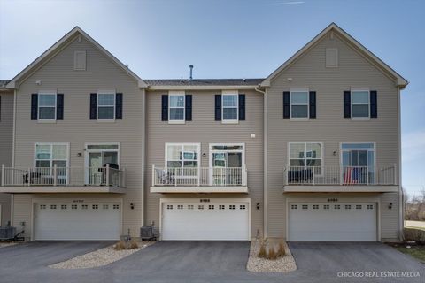 Tiny photo for 8988 Dolby Street, Huntley, IL 60142 (MLS # 12607184)