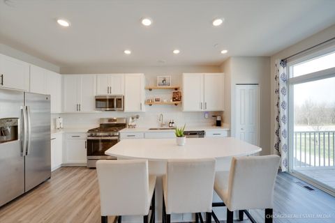 Tiny photo for 8988 Dolby Street, Huntley, IL 60142 (MLS # 12607184)