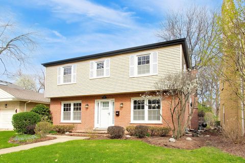 1107 S Hamlin Avenue Park Ridge IL 60068