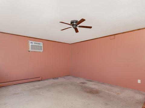 Tiny photo for 318 W Main Street, Braceville, IL 60407 (MLS # 12573238)