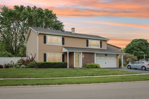 719 Coral Avenue Bartlett IL 60103