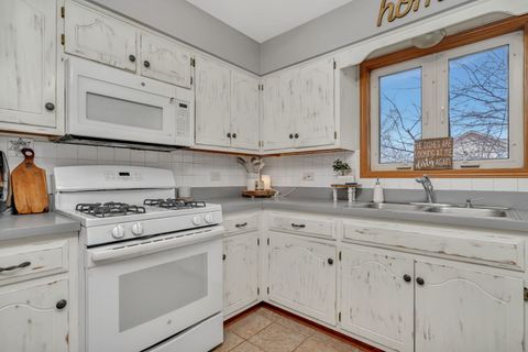 Tiny photo for Joliet, IL 60436 (MLS # 12513395)
