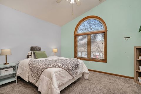 Tiny photo for Joliet, IL 60436 (MLS # 12513395)