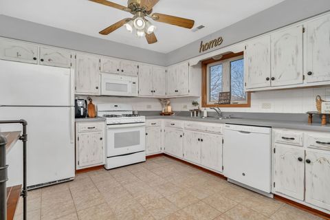 Tiny photo for Joliet, IL 60436 (MLS # 12513395)