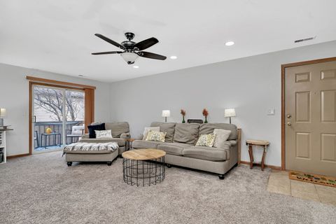 Tiny photo for Joliet, IL 60436 (MLS # 12513395)