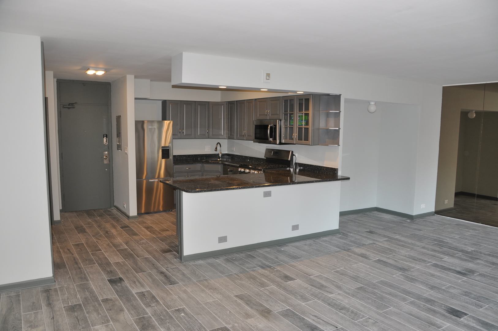 1000 N Lake Shore Drive 1401