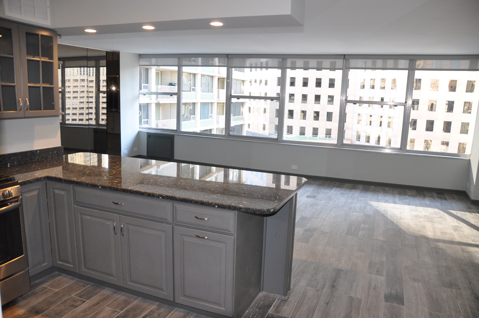 1000 N Lake Shore Drive 1401