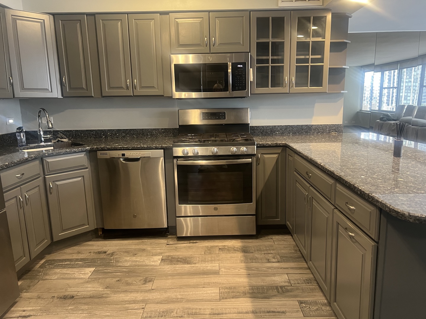 1000 N Lake Shore Drive 1401