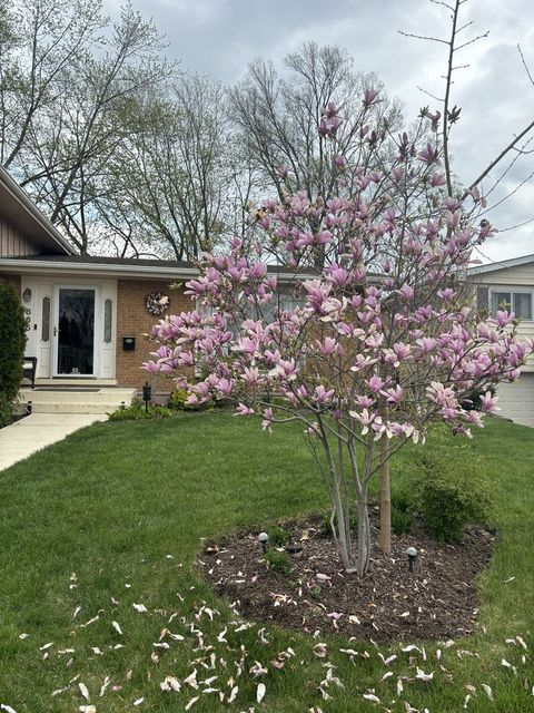 Tiny photo for 865 Magnolia Circle, Lombard, IL 60148 (MLS # 12535300)