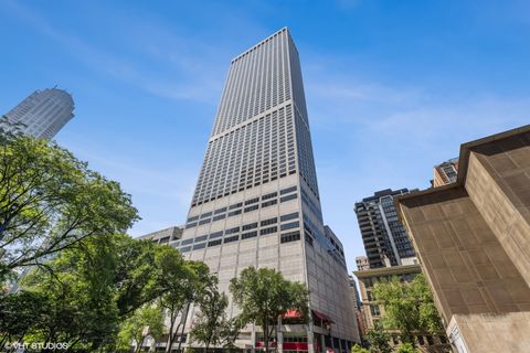 180 E PEARSON Street 5401 Chicago IL 60611