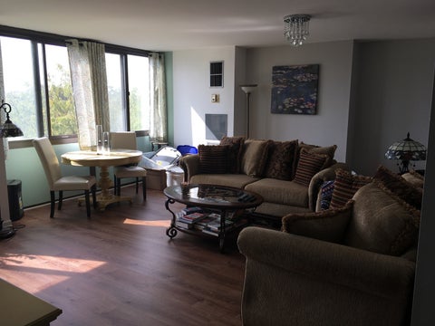 Tiny photo for 4850 S Lake Park Avenue #709, Chicago, IL 60615 (MLS # 12741378)