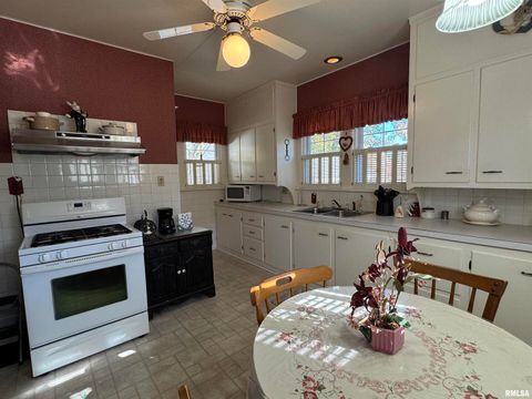 Tiny photo for 532 N WASHINGTON Street, Duquoin, IL 62832 (MLS # EB460819)