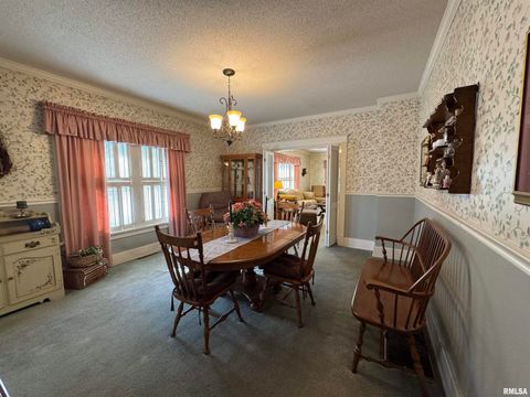 Tiny photo for 532 N WASHINGTON Street, Duquoin, IL 62832 (MLS # EB460819)