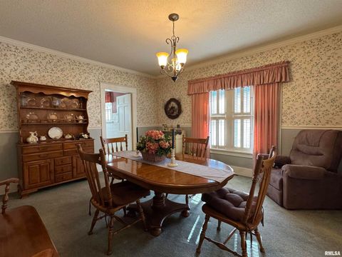 Tiny photo for 532 N WASHINGTON Street, Duquoin, IL 62832 (MLS # EB460819)