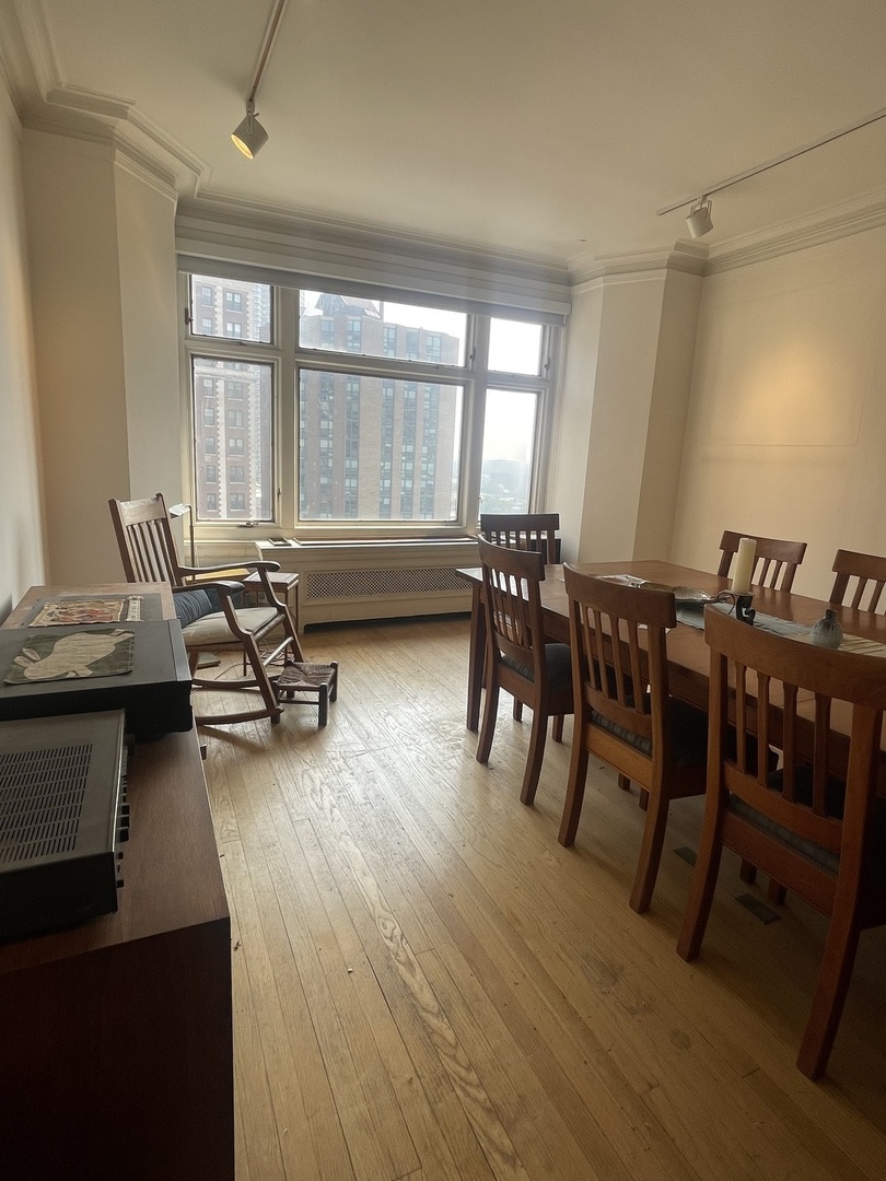 3800 N Lake Shore Drive 11E