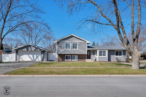 13760 W Sandstone Drive Homer Glen IL 60491