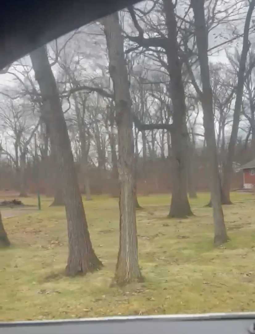 11 E Old Mud Drive