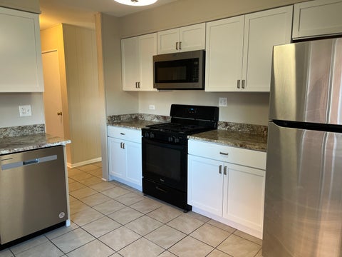 Tiny photo for 4864 Carol Street #D, Skokie, IL 60077 (MLS # 12756571)