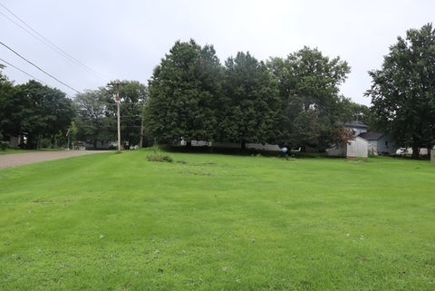 Tiny photo for 205 Fifth Street, Walnut, IL 61376 (MLS # 12733377)