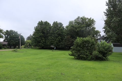 Tiny photo for 205 Fifth Street, Walnut, IL 61376 (MLS # 12733377)