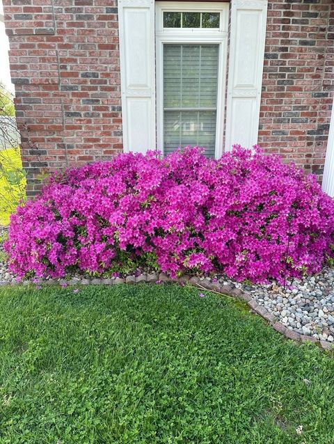 Tiny photo for 106 Chase Lane, Marion, IL 62959 (MLS # 12599222)