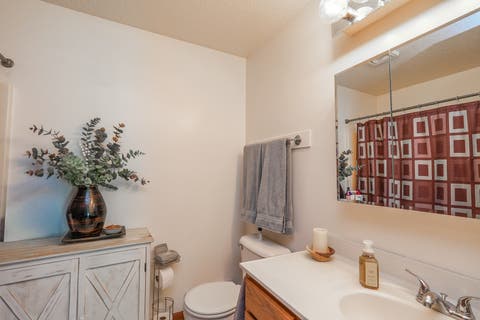 Tiny photo for 4 Dani Court, Manteno, IL 60950 (MLS # 12706901)