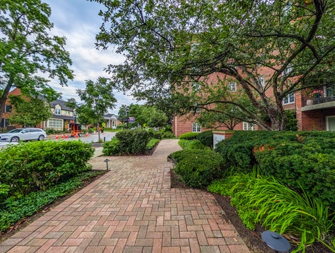 Tiny photo for 515 N Main Street #5CS, Glen Ellyn, IL 60137 (MLS # 12751586)