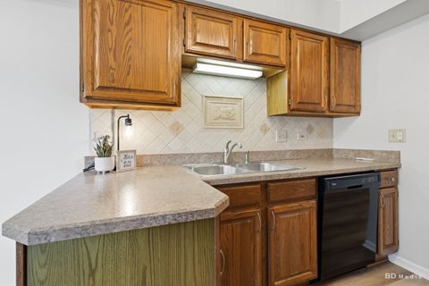 Tiny photo for 17960 66th Court #1N, Tinley Park, IL 60477 (MLS # 12619161)