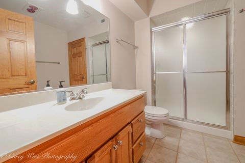 Tiny photo for Geneva, IL 60134 (MLS # 12548180)