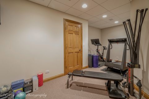 Tiny photo for Geneva, IL 60134 (MLS # 12548180)