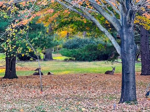 Tiny photo for 1307 Cross Creek Road, Mahomet, IL 61853 (MLS # 12561367)