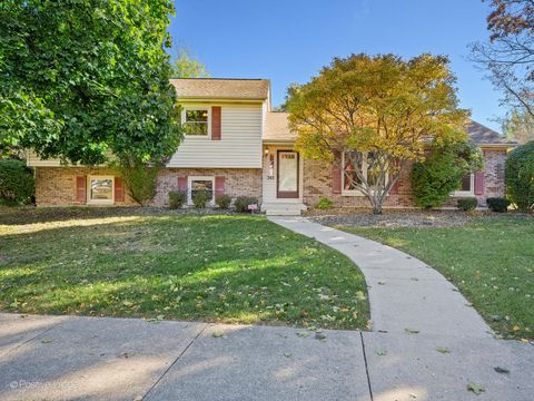 Photo of 260 Crabapple Drive, Joliet, IL 60435 (MLS # 12519206)