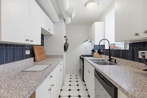 Tiny photo for Chicago, IL 60622 (MLS # 12618284)