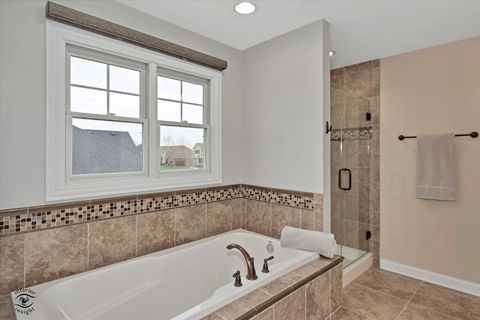 Tiny photo for 24054 S Sunset Lakes Drive, Manhattan, IL 60442 (MLS # 12616464)